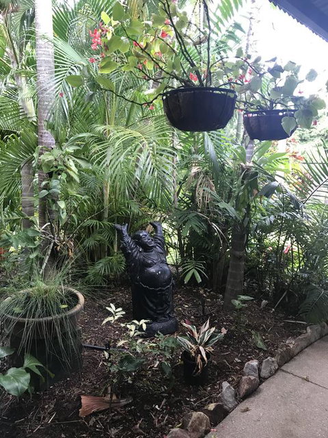 Bali Inspired Hideaway With Tropical Villa & Plunge Pool - Lightning Ridge Tourism 3