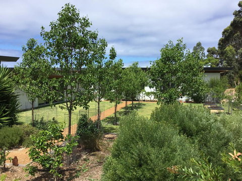 Bed + Bauhaus - Lightning Ridge Tourism 3