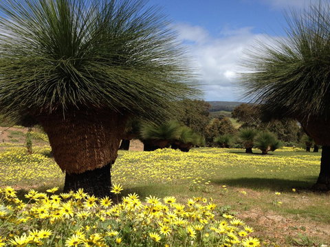 Bed + Bauhaus - Lightning Ridge Tourism 1