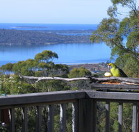 Bed in the Treetops BB - Lightning Ridge Tourism