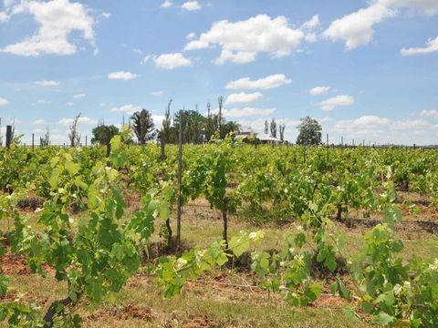 Beggars Bridge Vineyard Homestead W/ Pool + Wifi + Tennis + Vineyard - Lightning Ridge Tourism 2