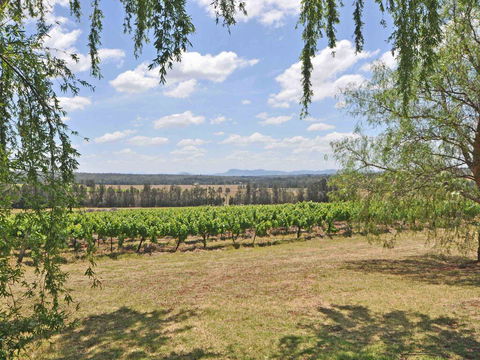 Beggars Bridge Vineyard Homestead W/ Pool + Wifi + Tennis + Vineyard - Lightning Ridge Tourism 3