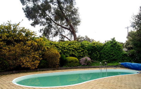 Bendigo Motor Inn - Lightning Ridge Tourism 3