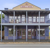 Blue Rosella On Piper - Lightning Ridge Tourism