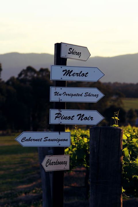Blueberry Hill Vineyard Villa - Lightning Ridge Tourism 3