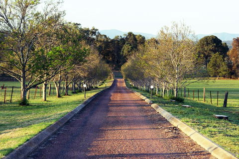 Blueberry Hill Vineyard Villa - Lightning Ridge Tourism 0