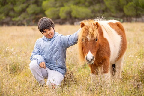 The Little Grove Retreat By Tiny Away - Lightning Ridge Tourism 3
