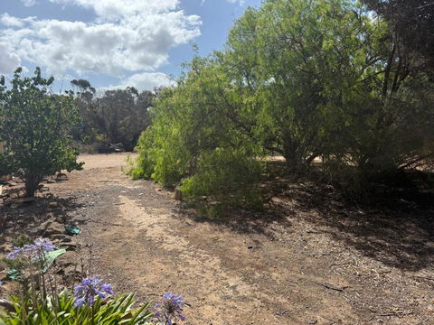 Woody House - Lightning Ridge Tourism 2