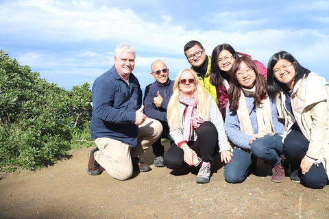 Small-Group Great Ocean Road And Twelve Apostles Full-Day Tour - Lightning Ridge Tourism 3