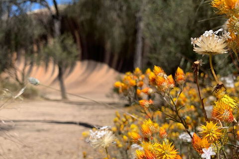 The Big Wave Rock (Private) Day Tour - Lightning Ridge Tourism 3