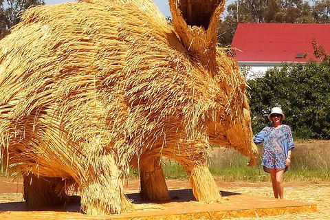 The Big Wave Rock (Private) Day Tour - Lightning Ridge Tourism 5