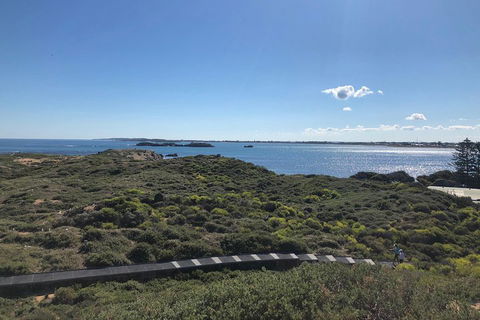 Penguin Island And Fremantle - Canoe, Chocolate & Coffee - Lightning Ridge Tourism 0