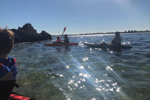 Penguin Island And Fremantle - Canoe, Chocolate & Coffee - Lightning Ridge Tourism 1