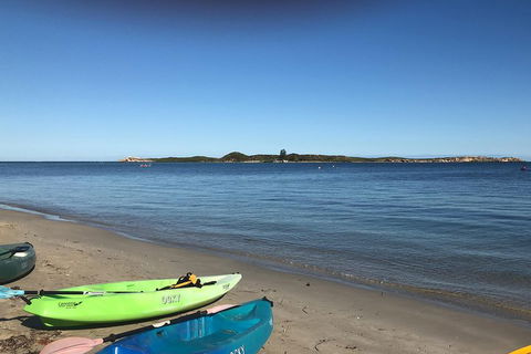 Penguin Island And Fremantle - Canoe, Chocolate & Coffee - Lightning Ridge Tourism 2