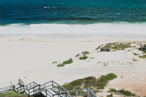 Yanchep & Lancelin - Wildlife, Cave And Sands - Lightning Ridge Tourism 5