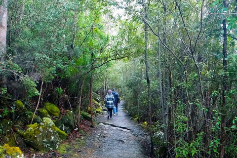 Kunanyi/Mt Wellington Tour & Hobart Hop-On Hop-Off Bus - Lightning Ridge Tourism 1