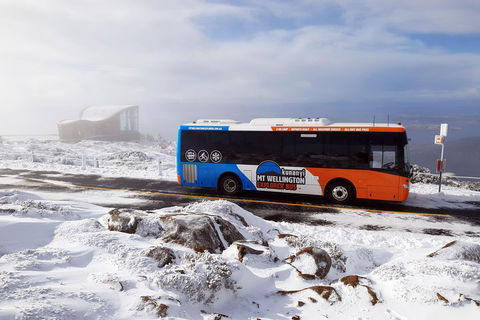 Kunanyi/Mt Wellington Tour & Hobart Hop-On Hop-Off Bus - Lightning Ridge Tourism 2
