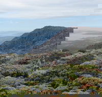 kunanyi/Mt Wellington Explorer Bus - One Way Tour - Lightning Ridge Tourism