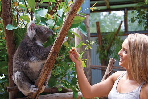 Private Guided Tour: Blue Mountains Tour From Sydney - Lightning Ridge Tourism 5
