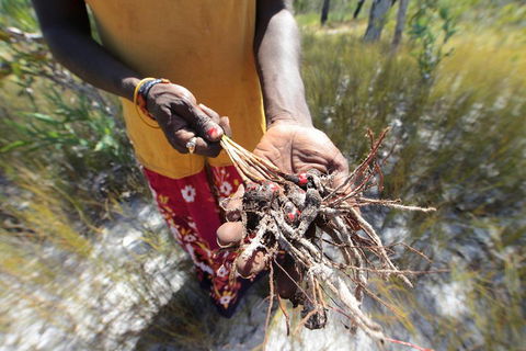 Gay-Wu Woman's 5 Day Yolngu Homeland Tour - Lightning Ridge Tourism 0