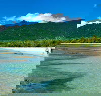 5-Day Best of Cairns with Daintree Kuranda and Great Barrier Reef - Lightning Ridge Tourism