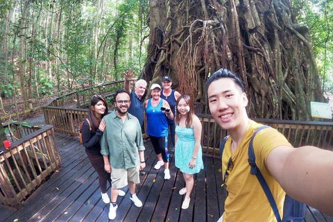 Cairns 4WD Waterfall And Rainforest Tour Including Kuranda Scenic Railway - Lightning Ridge Tourism 0