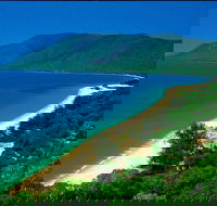 Cairns Reef and Rainforest Combo Daintree Rainforest and the Great Barrier Reef - Lightning Ridge Tourism