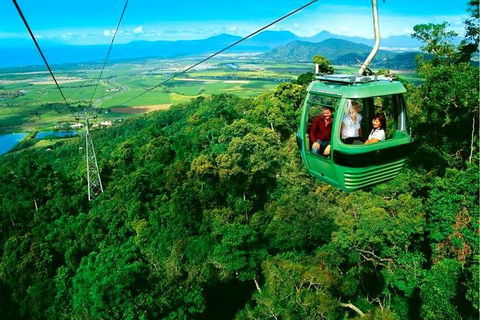 4-Day Cairns Ultimate Combo: Daintree Rainforest, Reef, Kuranda & Paronella Park - Lightning Ridge Tourism 1