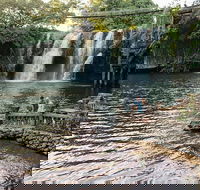 Paronella Park and Millaa Millaa Falls Full-day Tour from Cairns - Lightning Ridge Tourism