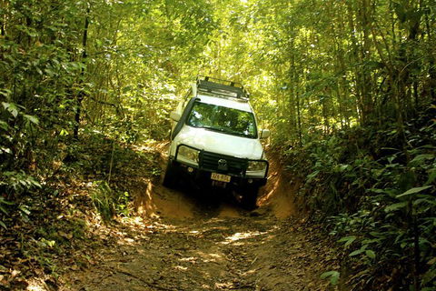 Cairns National Park Rainforest And Waterfall Small Group Tour Shore Excursion - Lightning Ridge Tourism 0