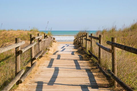 Cruise Ship Shore Excursion - Private Great Ocean Road Full Day Tour (12 Hour) - Lightning Ridge Tourism 0