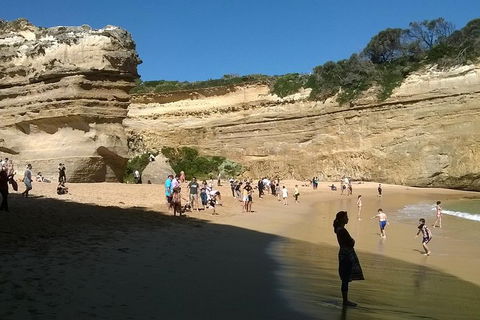 Great Ocean Road Full Day Private Experience - Lightning Ridge Tourism 3