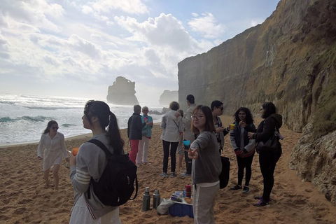 Great Ocean Road Full Day Private Experience - Lightning Ridge Tourism 4