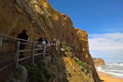 Private Express Experience - 12 Apostles - Lightning Ridge Tourism 3