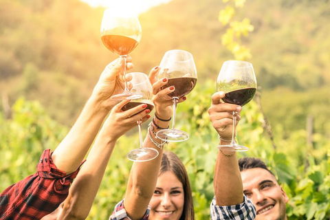 McLaren Vale Luxury Wine Tour - Lightning Ridge Tourism 2