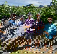 Adelaide Hills and Hahndorf - Half Day Private Tour - Lightning Ridge Tourism