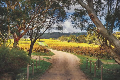 McLaren Vale Winery Small Group Tour With Wine Tasting And Lunch - Lightning Ridge Tourism 1