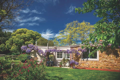 McLaren Vale Winery Small Group Tour With Wine Tasting And Lunch - Lightning Ridge Tourism 2