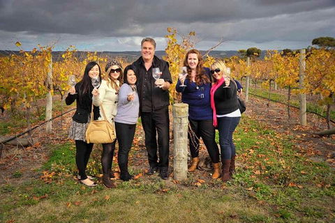McLaren Vale Winery Small Group Tour With Wine Tasting And Lunch - Lightning Ridge Tourism 3