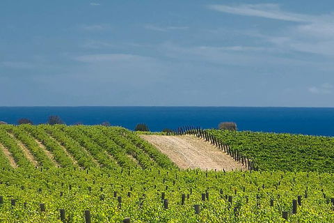 McLaren Vale Winery Small Group Tour With Wine Tasting And Lunch - Lightning Ridge Tourism 4
