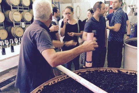 Luxury Private Mclaren Vale Wine Tour - Lightning Ridge Tourism 4