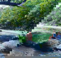 Afternoon Half-Day Daintree Rainforest and River Tour - Lightning Ridge Tourism