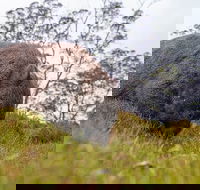 3-Day Cradle Mountain Photography Workshop - Lightning Ridge Tourism