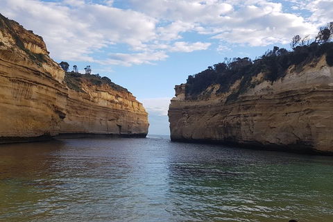 Luxury Private Great Ocean Road Tour Up To 11 People - Entire Vehicle - Lightning Ridge Tourism 2
