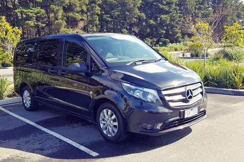 Luxury Private Great Ocean Road Tour Up To 11 People - Entire Vehicle - Lightning Ridge Tourism 3