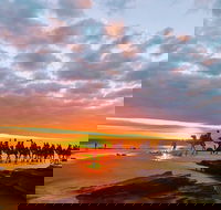 1 Hour Broome Sunset Camel Tour - Lightning Ridge Tourism