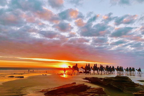 1 Hour Broome Sunset Camel Tour - Lightning Ridge Tourism 0