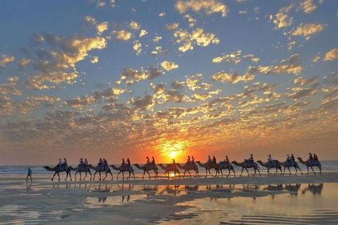 1 Hour Broome Sunset Camel Tour - Lightning Ridge Tourism 1