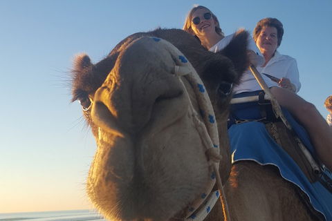 1 Hour Broome Sunset Camel Tour - Lightning Ridge Tourism 4