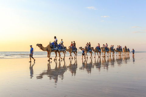 1 Hour Broome Sunset Camel Tour - Lightning Ridge Tourism 5